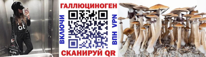 Псилоцибиновые грибы мицелий  гидра сайт  Касимов  даркнет сайт 